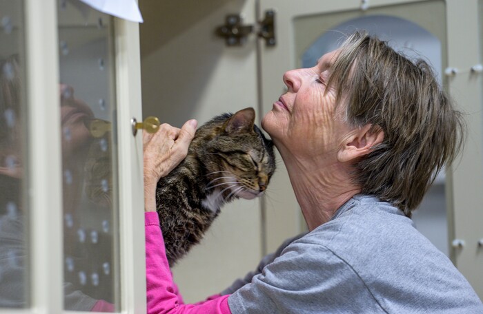 (Leah Hogsten  | The Salt Lake Tribune) "This is the best thing I have ever done in my life," said Nuzzles & Co. volunteer Jane Rusten, who devotes her retiree life to interacting with the shelter's cats. Salt Lake City car seller Mark Miller Subaru has contributed an estimated $120,000 and 2,000 service hours to Nuzzles & Co, a no-kill nonprofit in Peoa. The car dealer is one of the first Utah businesses to adopt a new state Benefit LLC legal status, balancing doing social good with making profits.