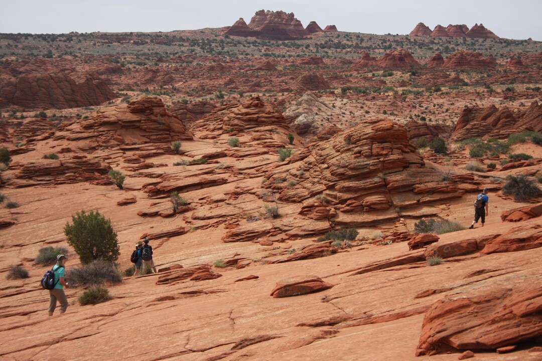 This May 28, 2013 photo shows hikers walking on rocky terrain for a 3-mile trip to The Wave rock formation in the Vermilion Cliffs National Monument. People who make the hike are advised to bring at least a gallon of water for the desert backcountry journey that begins in southern Utah and crosses over the border into Arizona.  (AP Photo/Brian Witte)