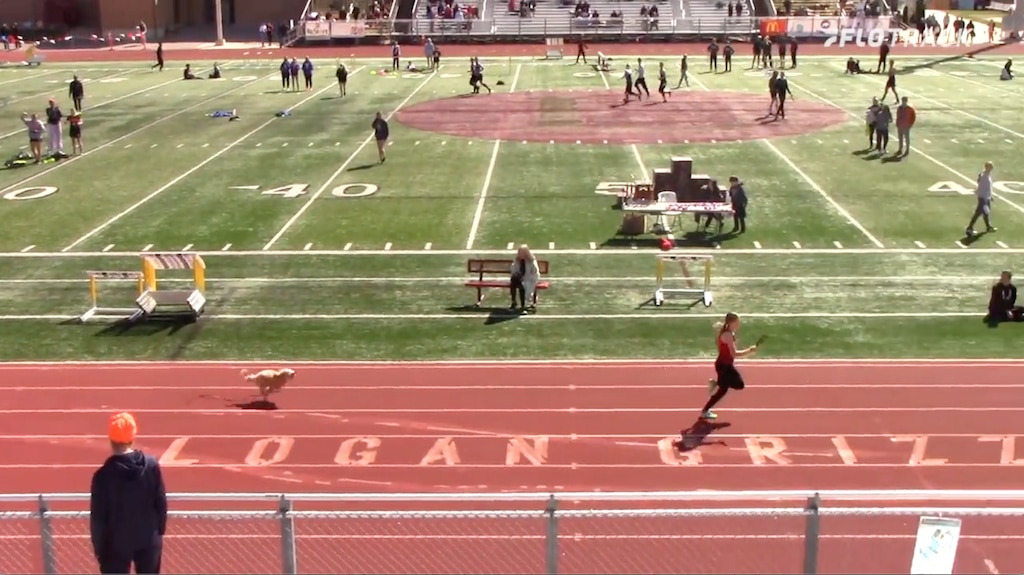Screenshot of a video that shows a dog running after Logan High senior Gracie Laney during the Grizzly Invitational in Logan, Utah, on April 17, 2021.