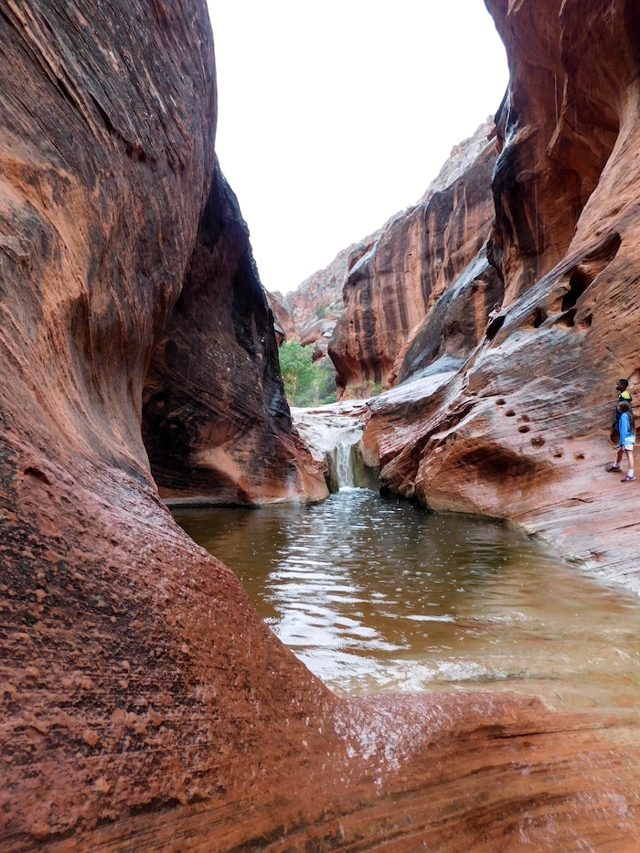 Erin Alberty  |  The Salt Lake Tribune

Young hikers plot their way up the footholds carved alongside the Quail Creek waterfall April 3, 2017 on the Red Reef Trail in Red Cliffs Desert Reserve, north of Harrisburg.