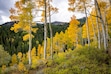 (Rick Egan | The Salt Lake Tribune) Fall colors near Bloods Lake Trail, on Sept. 22, 2026. Temperatures are expected to drop to fall-like levels on Oct. 10 and 11, according to the National Weather Service.
