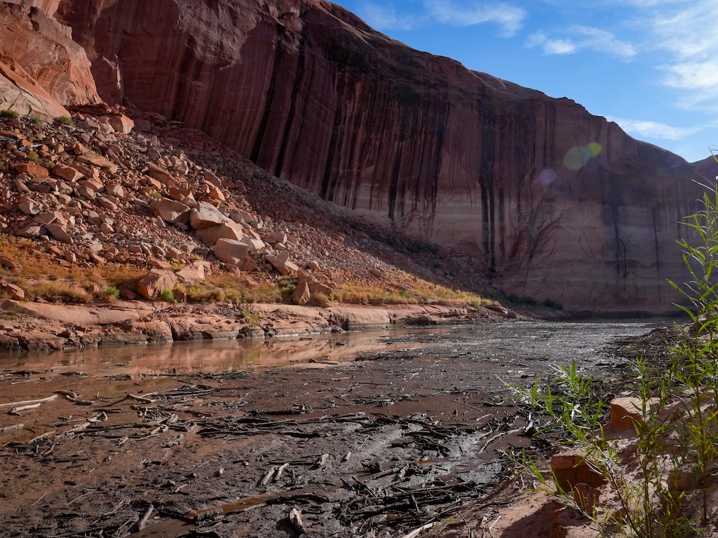 (Bethany Baker  |  The Salt Lake Tribune) Mud and wood fill the water at the delta for the Escalante River at Lake Powell near Ticaboo, Utah on Tuesday, Oct. 17, 2023.