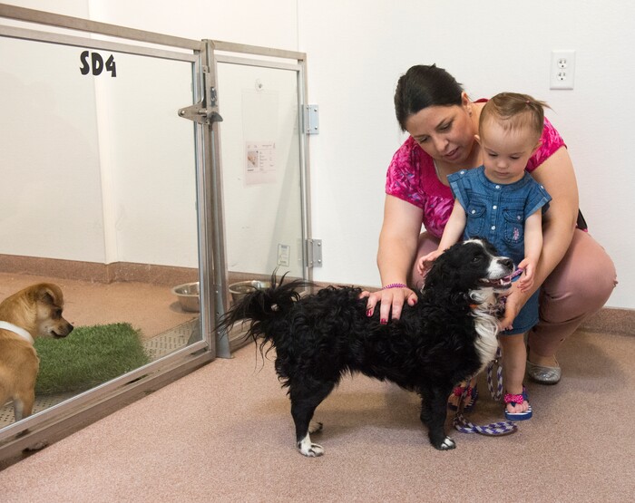 (Rick Egan  |  The Salt Lake Tribune)   Jan Claudia Turner shops for a pet with her 18-month-old daughter Alena, at the Humane Society of Utah, in Murray, Friday, April 27, 2018.