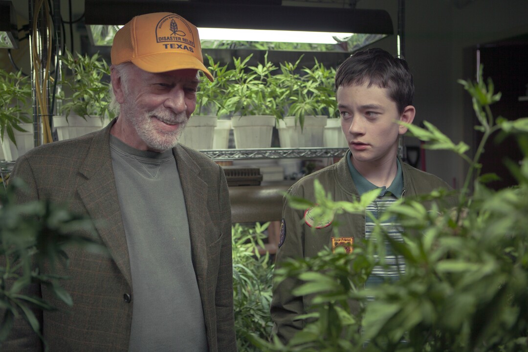 (Lindsay Elliott  |  courtesy Sony Pictures Classics) Jack (Christopher Plummer, left) teaches his grandchild Henry (Lewis MacDougall) the secrets of growing marijuana in the comedy-drama "Boundaries."