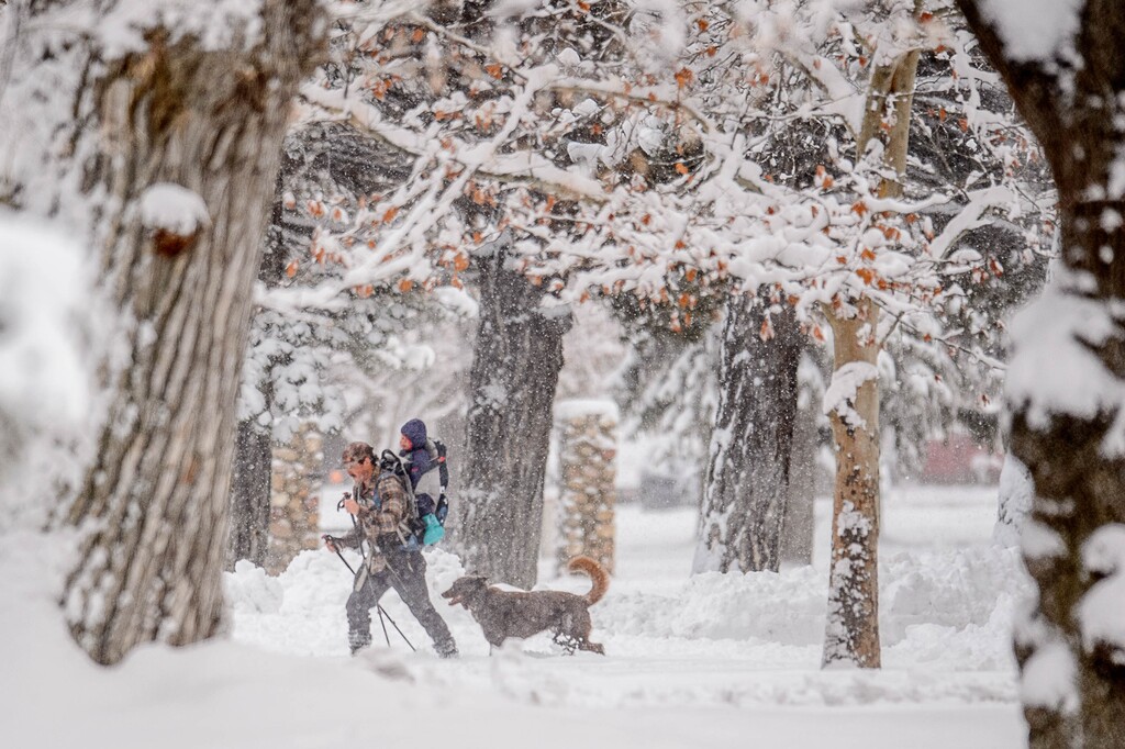 (Trent Nelson  |  The Salt Lake Tribune) A skier in Liberty Park as a winter storm continues to drop snow in Salt Lake City on Wednesday, Feb. 17, 2021.
