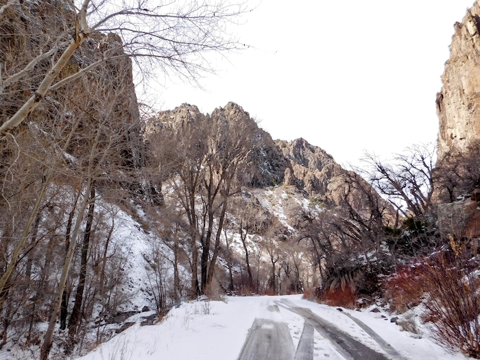 Erin Alberty | The Salt Lake Tribune
A scene from the canyons near Monrovian Park in Sevier County on March 8, 2017.