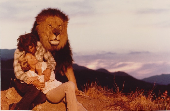 ( Courtesy Drafthouse Films) Noel Marshall and Tippi Hedren starred with many big cats in the 1981 movie "Roar," which wasn't released theatrically until 2015.