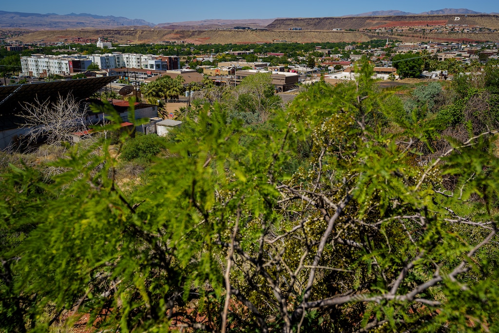 (Trent Nelson | The Salt Lake Tribune) The view of St. George from Temple Springs Nature Park on Thursday, June 10, 2021. In the face of rapid growth and long-term drought, Washington County water officials are seeking to pull groundwater from deep aquifers to the north of the city.
