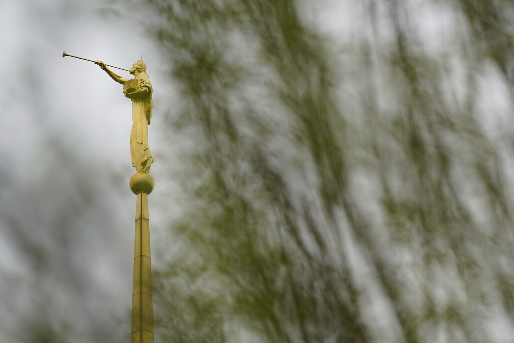 (Patrick Semansky | AP) The Angel Moroni is seen past trees atop a steeple at the Washington D.C. Temple of The Church of Jesus Christ of Latter-day Saints, Monday, April 18, 2022, in Kensington, Md.