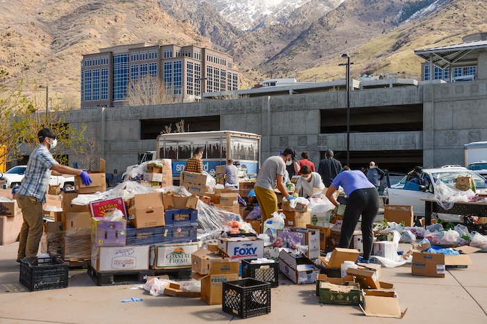 (Leah Hogsten  |  The Salt Lake Tribune)  Snowbird employees handed out over 10,000 pounds of perishable items from the ski resort's restaurants and stores to their workforce, March 21, 2020. The food included milk, eggs, bread, cheeses, every kind of herb, vegetable and fruit, including kumquats and lemon grass, and was given to Snowbird employees on a first-come, first-served basis.