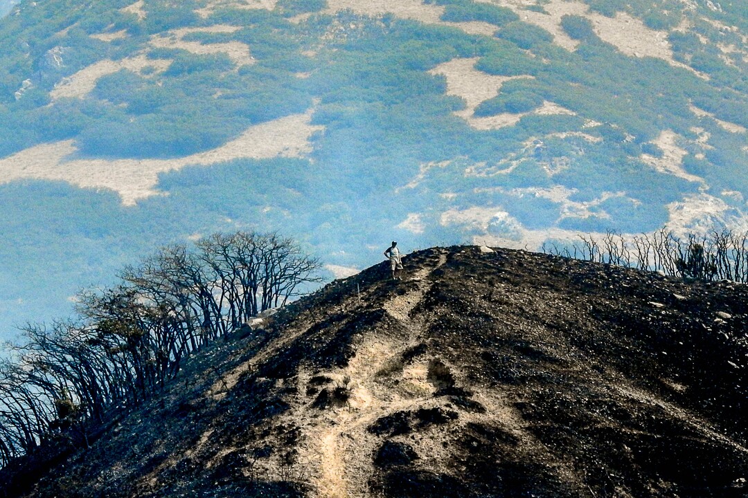 (Trent Nelson | The Salt Lake Tribune)  A man stands on a burnt hill at the mouth of Weber Canyon, Tuesday September 5, 2017.