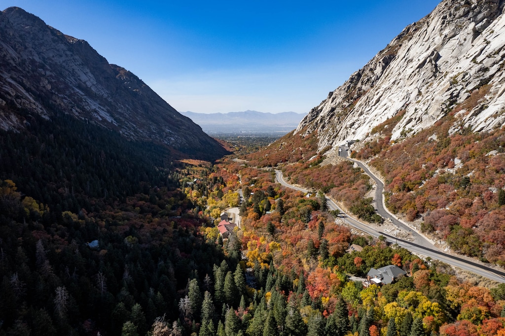 (Francisco Kjolseth | The Salt Lake Tribune) Fall color in Little Cottonwood Canyon on Thursday, Oct. 20, 2022.