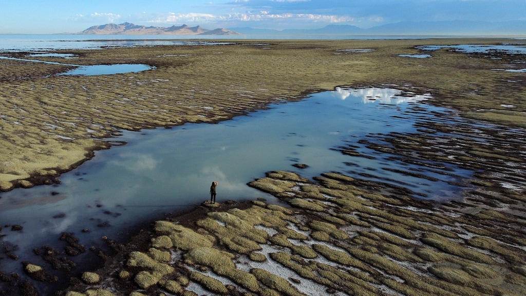 (Rick Bowmer | Associated Press) State of Utah Department of Natural Resources park ranger Angelic Lemmon walks across reef-like structures called microbialites, exposed by receding waters at the Great Salt Lake on Wednesday, Sept. 28, 2022, near Salt Lake City.
