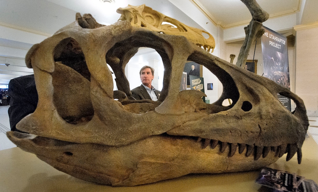 (Steve Griffin  |  The Salt Lake Tribune)  Utah State assistant state paleontologist, Don DeBlieux, is framed in the skull of a Utahraptor on dislapy at the Utah State capitol in Salt Lake City Monday February 12, 2018. Deblieux and Utah State Paleontologist James Kirkland were at the capitol in support of S.B. 43 which is seeking to make the Utahraptor the State dinosaur. 