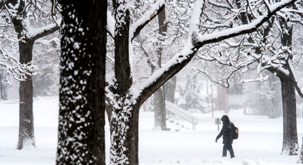 (Steve Griffin  |  The Salt Lake Tribune)  Snow blankets the Salt Lake Valley as a winter storm passes through the Wasatch Front Monday, Feb. 19, 2018.