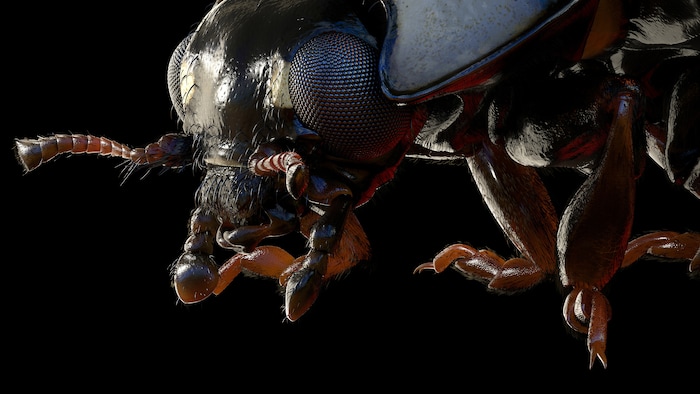 (Yifu Zhou  |  courtesy Sundance Institute) n image of a much-magnified insect from Yifu Zhou's "Micro Giants," which will appear in the New Frontier VR Experiences program at the 2018 Sundance Film Festival.