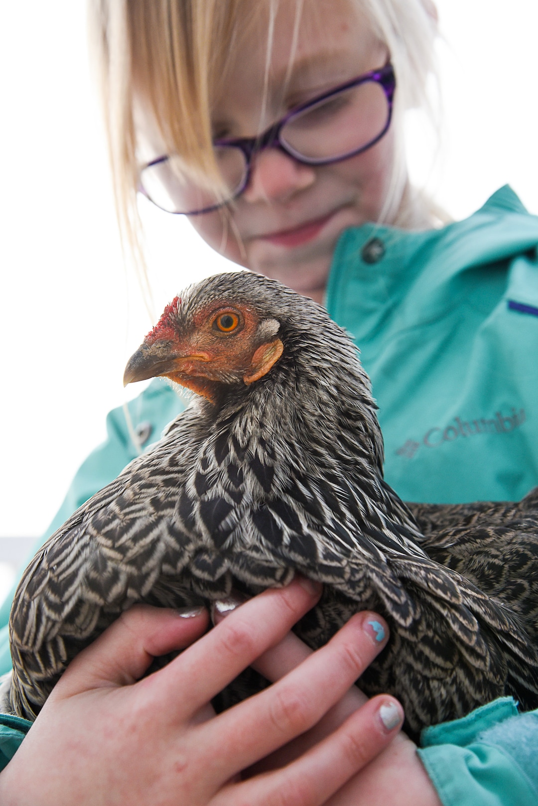 (Francisco Kjolseth  |  The Salt Lake Tribune)  Skyrie Sacks, 7, embraces her favorite chicken,  Chansey, one of eight in the family coop behind their house in West Clinton. Suffering a traumatic face injury at the age of 4, Skyrie suffers from PTSD and her mother, Natalie, says the chickens have helped her through the trauma. A Utah lawmaker is filing a bill that would make it a misdemeanor crime to lie about the need for an emotional support animal. Disability advocates are opposed to the bill, saying it could scare individuals with disabilities into remaining silent about their need for support animals.