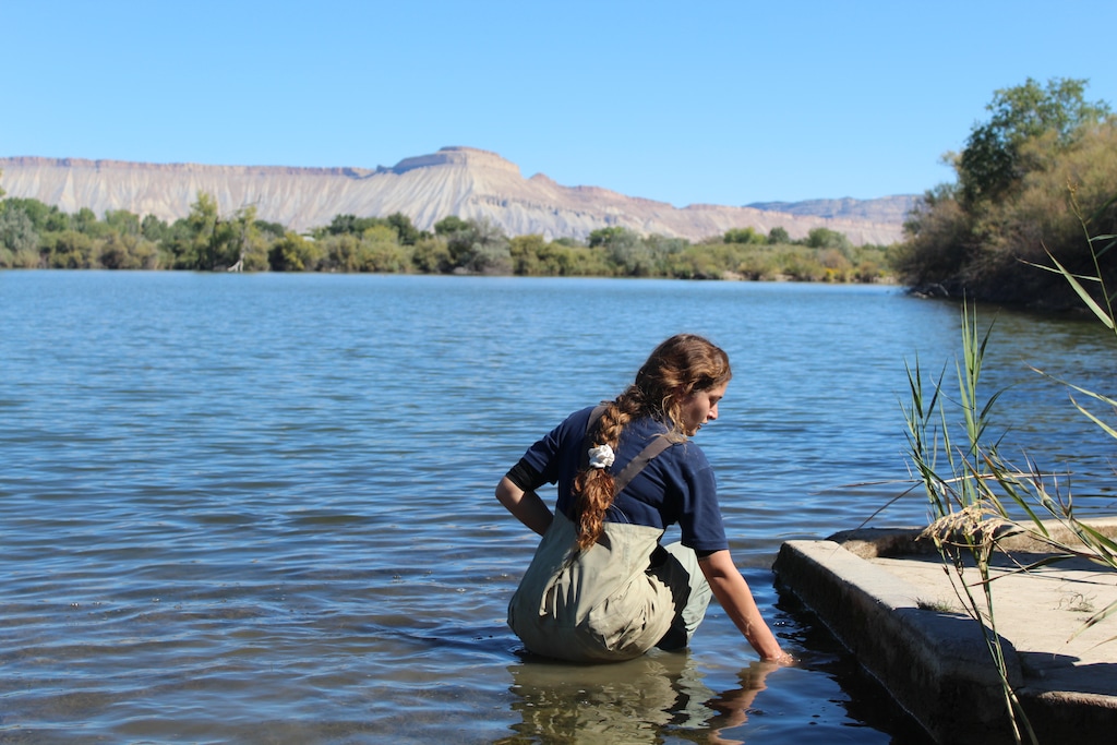 (Caroline Llanes / Rocky Mountain Community Radio) Colorado Parks and Wildlife invasive species specialist Maddie Baker looks for zebra mussels near the shore of East West Lake in Grand Junction, Colorado.
