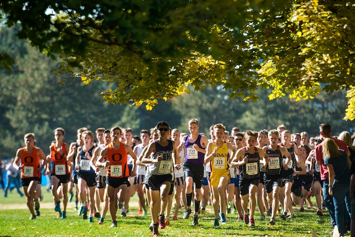 (Chris Detrick  |  The Salt Lake Tribune)  Runners compete during the 4A boy's state cross-country meet at Sugar House Park and Highland High School Wednesday, October 18, 2017. 