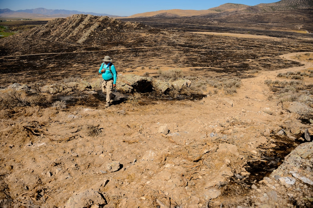 (Trent Nelson | The Salt Lake Tribune) Randy Griffin assesses the damage caused by a firebreak bulldozed through the Adelbert Doyle Smith Family Archaeological Preserve on Utah Lake’s west shore. Officials say that fire was accidentally triggered June 28 by a motorist driving through brush on the preserve while trying to evade a road closure associated with another human-caused fire that almost burned into a Saratoga Springs neighborhood.