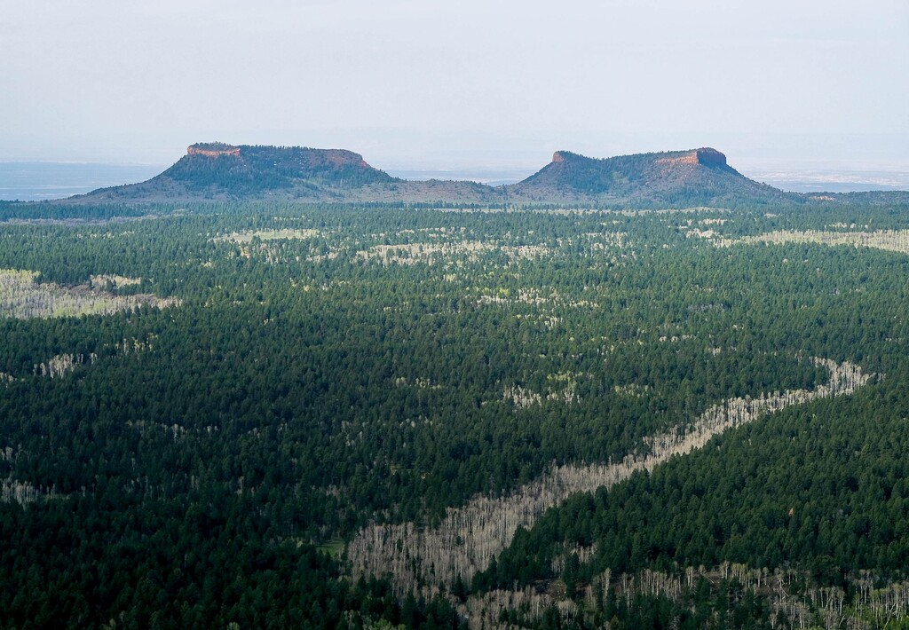(Francisco Kjolseth | The Salt Lake Tribune) The two buttes that make up the namesake for Bears Ears National Monument reveal the vast landscape. The Bureau of Land Management and U.S. Forest Service released their draft management plan for the monument today.