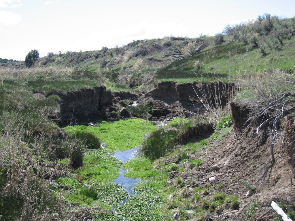 (Jesse Petersen) Surveyor James Simpson recorded this spring in Tooele County in 1859, several miles west of Fairfield, and named it after Charles Brewer, a U.S. Army surgeon stationed at nearby Camp Floyd. Brewer had earlier documented the horrors at the Mountain Meadows massacre site and would join the Confederate army two years later.