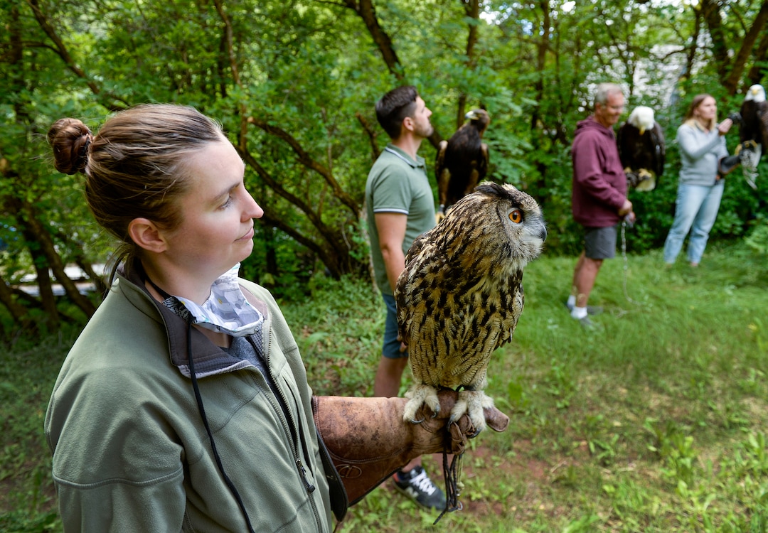 (Leah Hogsten  |  The Salt Lake Tribune) l-r "World of Flight Bird Show" falconers Mikalann Miller, Nicholas Harris, founder Steve Chindgren and Chindgren’s daughter, Jena Beckstead, fly the owl and three eagles from the "World of Flight" show at his home, June 17, 2020.