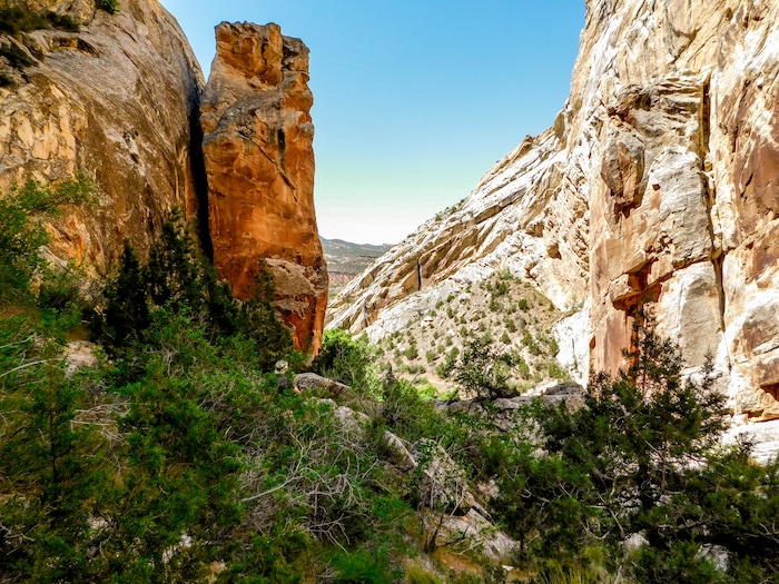 Erin Alberty  |  The Salt Lake TribuneRock walls rise out of Box Canyon in Dinosaur National Monument. Photo taken May 29, 2017.
