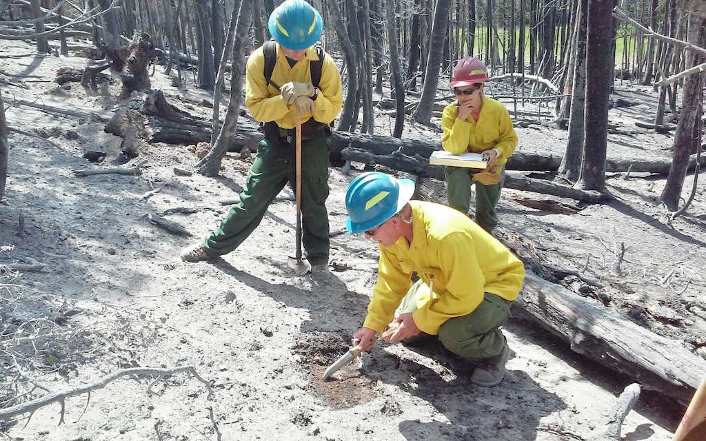 A Forest Service Burned-Area Emergency Response, or BAER, team examines ground burned in Utah's 71,000 Brian Head Fire in June and July. The team's report will help guide restoration efforts now under way. By spurring plant growth and stabilizing soils, officials hope to minimize erosion and the potential for destructive debris flows that could threaten roads, water supplies and fisheries. Photo courtesy Dixie National Forest