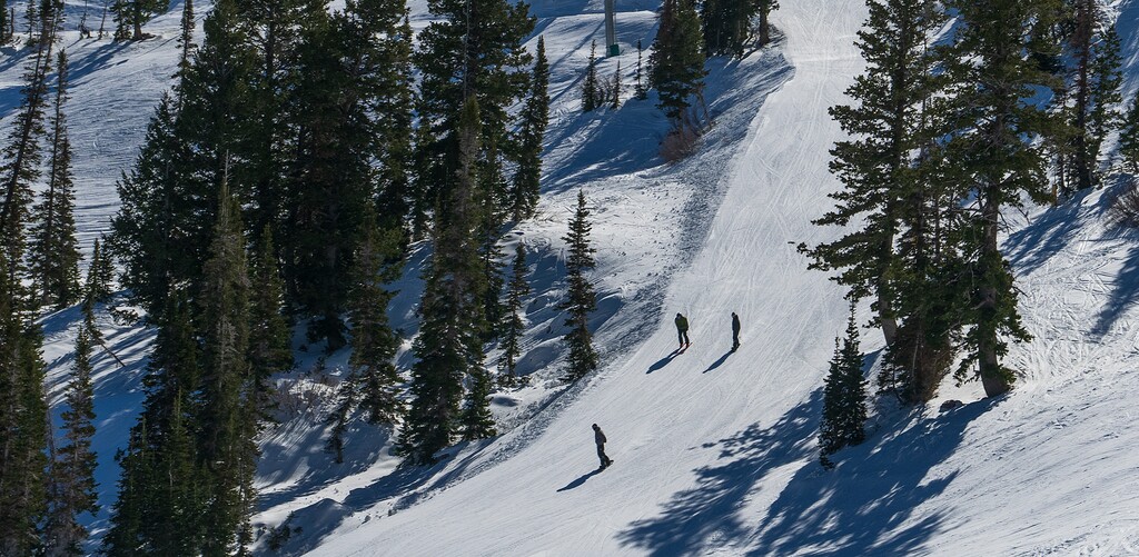 (Leah Hogsten | The Salt Lake Tribune) Early powder enthusiasts ski at Snowbasin Resort, Nov. 21, 2022. 
