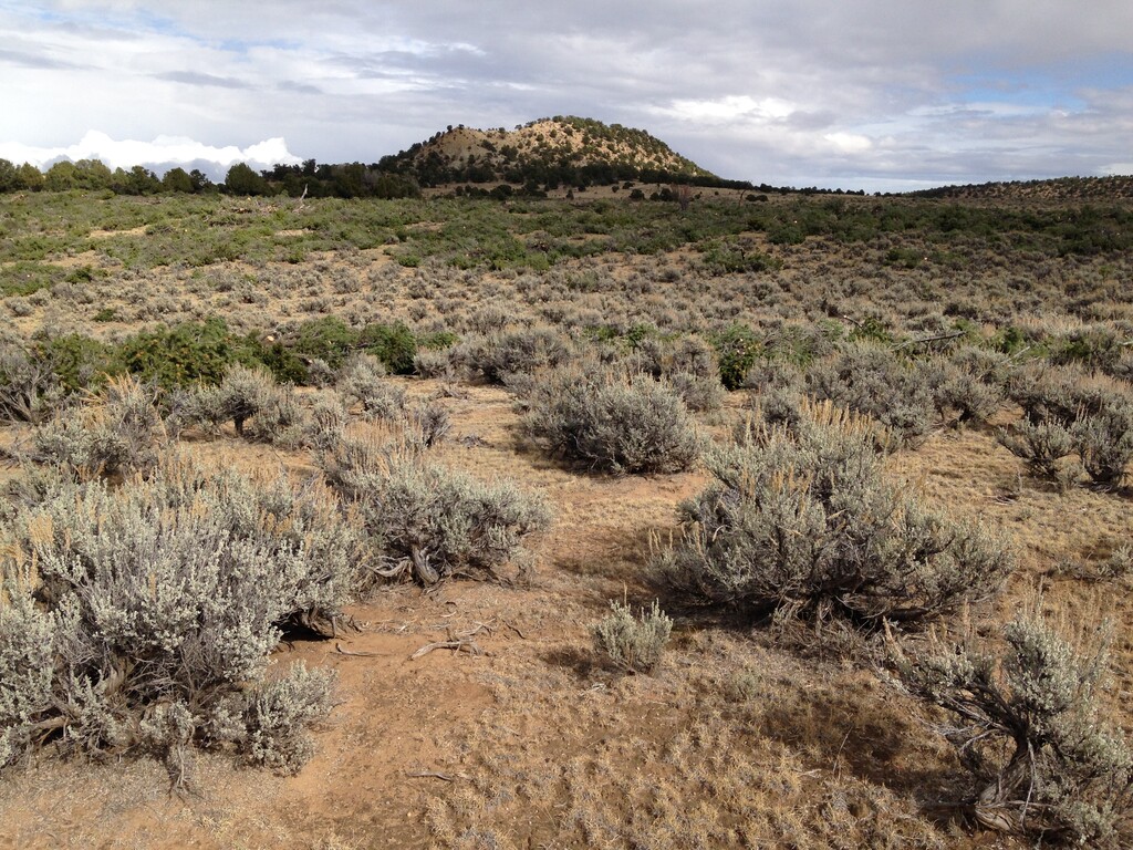 (Courtesy of Utah Division of Wildlife Resources) Image of Utah acreage targeted in 2015 for so-called 'lop and scatter' of pinyon and juniper trees, aimed at improving the land as habitat for the sage grouse and reducing fire hazards.