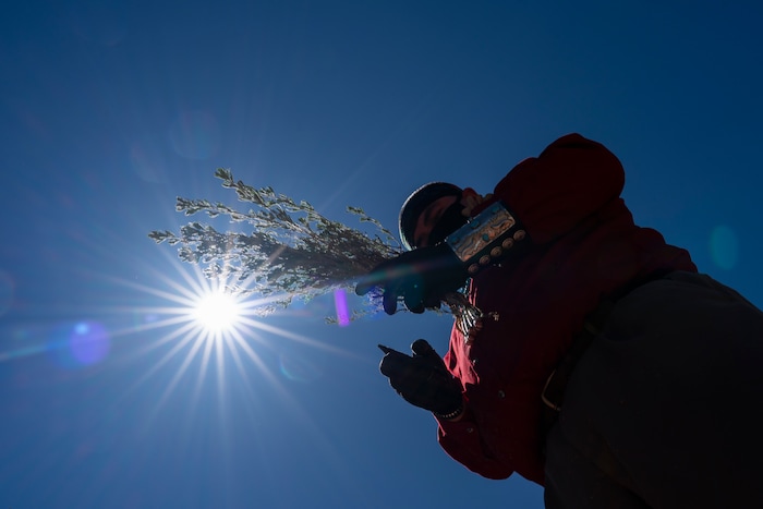 Navajo medicine man Travis Teller gathers sage to perform an herbal ceremony in Tsaile, Ariz., on the Navajo reservation on April 29, 2020. He will make a tea to drink, and smoke and steam to purify the air to protect his people and those in his care from COVID-19. The reservation has some of the highest rates of coronavirus in the country. If Navajos are susceptible to the virus' spread in part because they are so closely knit, that's also how many believe they will beat it. (AP Photo/Carolyn Kaster)
