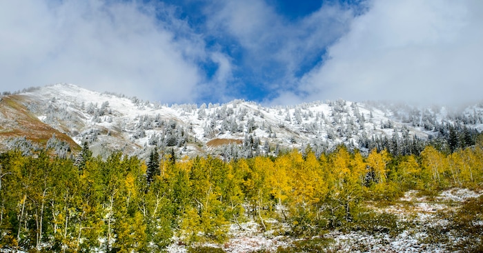 (Steve Griffin | The Salt Lake Tribune) A fall storm leaves a trace of snow in Little Cottonwood Canyon in Salt Lake City Friday September 22, 2017.