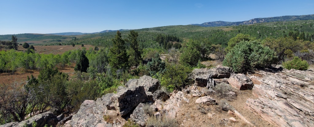 (Photo courtesy of the Utah School and Institutional Trust Lands Administration) Utah trust lands officials auctioned off an 8,107-acre block of land on Weber-Cache county line. The Cinnamon Creek tract, pictured here, started bidding at $19.5 million.