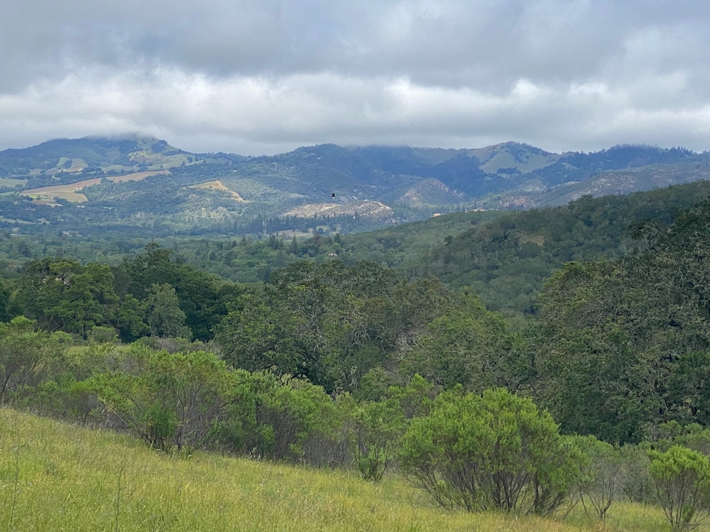 (Meg Beeler | megbeeler.com)

The site of a proposed development in Sonoma County, California