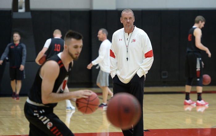 (Francisco Kjolseth  |  The Salt Lake Tribune)  Utah coach Larry Krystkowiak eyes his team as the Utah men's basketball program begins fall practices with a fairly new roster of players on Friday, Sept. 29, 2017.
