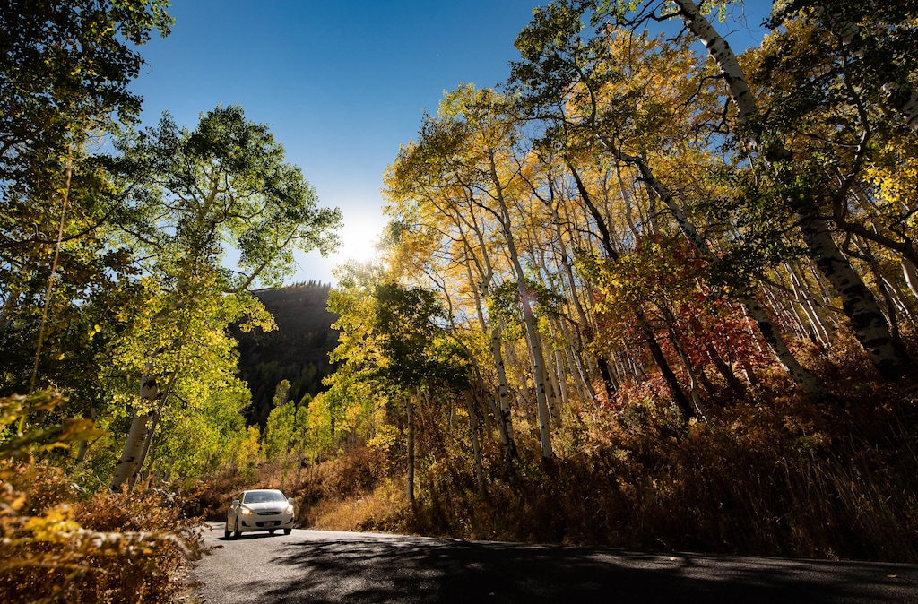 (Francisco Kjolseth  |  The Salt Lake Tribune) People take in the fall color along the Alpine Loop Scenic Byway in the Uinta National Forest on Wednesday, Sept. 30, 2020.