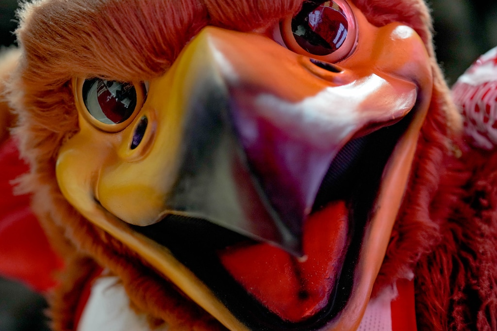 (Francisco Kjolseth | The Salt Lake Tribune) Utah mascot Swoop during a men’s basketball game at the Huntsman Center on Tuesday, Nov. 12, 2024.