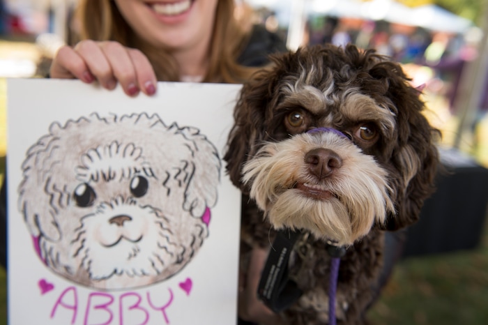 (Leah Hogsten  |  The Salt Lake Tribune) Abby, a one-year-old Cockapoo poses with her caricature, held by owner Cambria Rueda during the 2017 Strut Your Mutt dog walk and fundraiser to save the lives of homeless pets, October 14, 2017  at Liberty Park. Participants can choose to raise money for Best Friends or for one of hundreds of participating shelters, rescue groups and other animal welfare groups. 