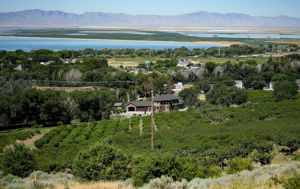 (Francisco Kjolseth | The Salt Lake Tribune) The owners of Tagge’s Famous Fruit and Veggie Farms along U.S. 89 in Perry have decided to permanently protect their orchard through a legacy trust, Monday, July 14, 2025. Pictured below is one of their peach orchards above Willard Bay. 