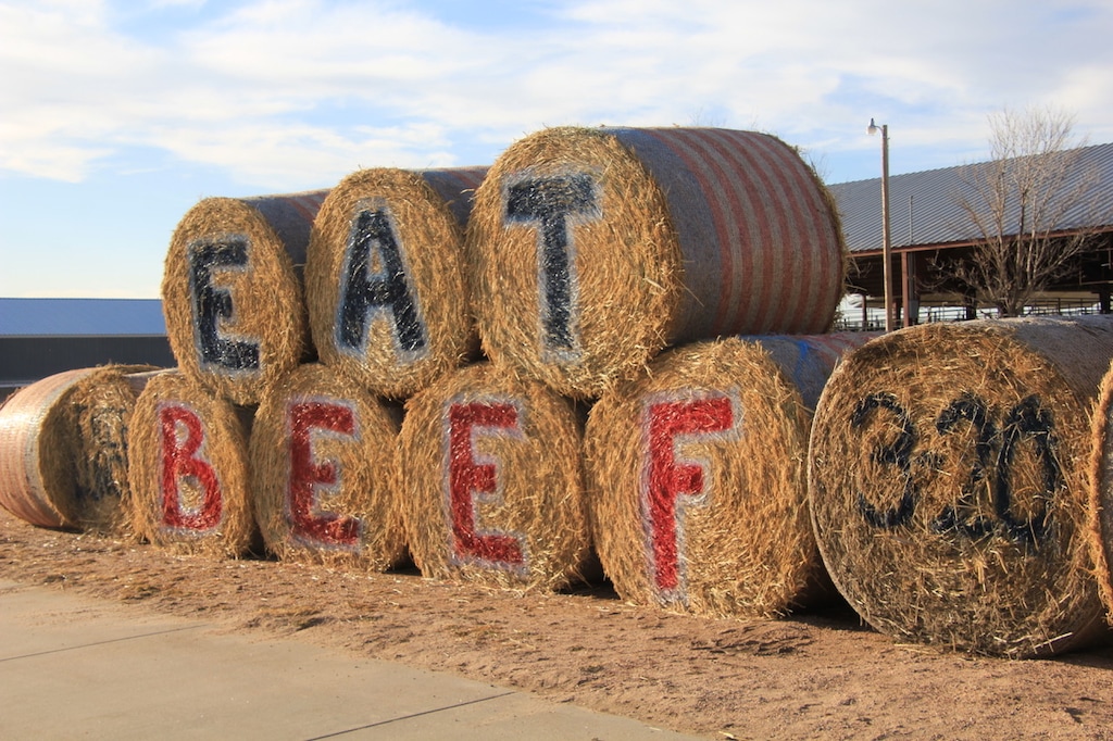(Photo by Allen Best | Writers on the Range)

"Eat Beef" display in Akron, Colorado