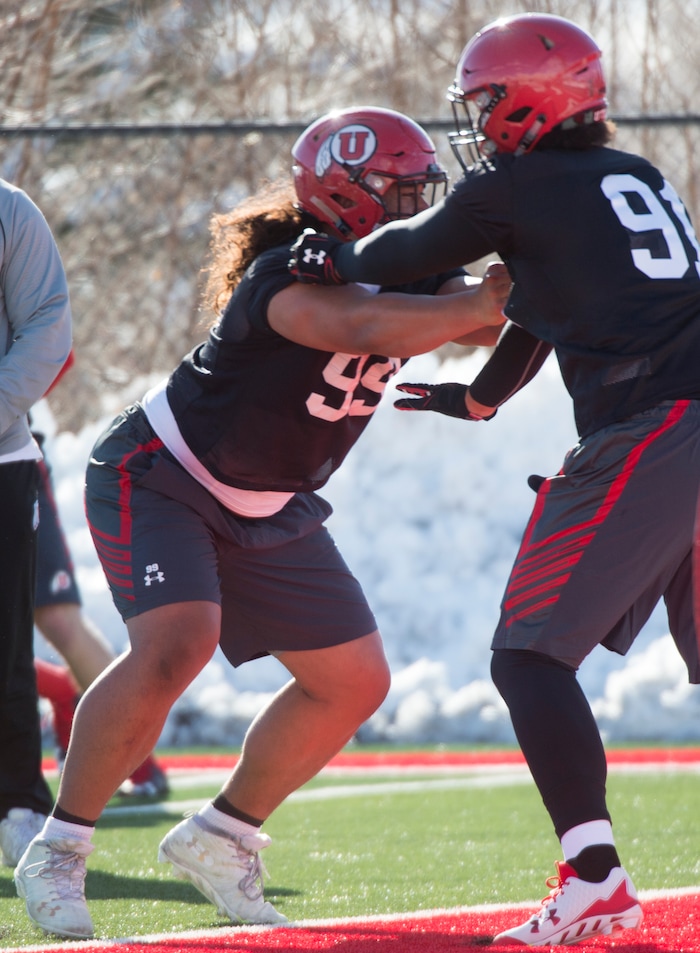 (Rick Egan  |  The Salt Lake Tribune)    Utah defensive lineman Leki Fotu, works out with the team, on the first day of Spring practice, Monday, March 5, 2018.


