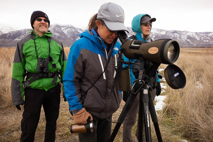 (Trent Nelson | The Salt Lake Tribune)  Brian Nordberg, Colleen Nordberg, and Jess Stokes look for eagles and gulls as Great Salt Lake Audubon hosts the 9th Annual Gullstravaganza, gull-watching event at Farmington Bay on Saturday Feb. 2, 2019.