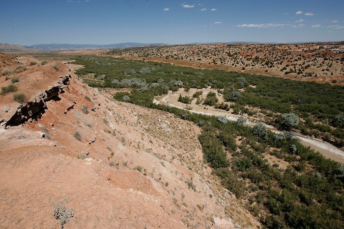 (Paul Fraughton | Tribune file photo) Harris Wash near the town of Escalante is photographed June 21, 2006.