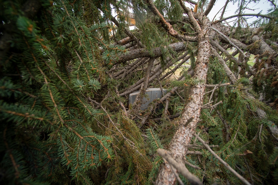 (Rick Egan  |  The Salt Lake Tribune)    Hundreds of headstones in the Salt Lake City Cemetery were damages in the recent wind storm, Friday, Sept. 18, 2020.