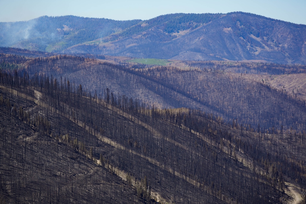 (Francisco Kjolseth | The Salt Lake Tribune) A tour of Eagle Point Resort, one of the smallest ski and snowboard areas in Utah, reveals what remains for one of the first areas to fall victim to the Cottonwood Fire in late June, pictured Thursday, July 9, 2026.