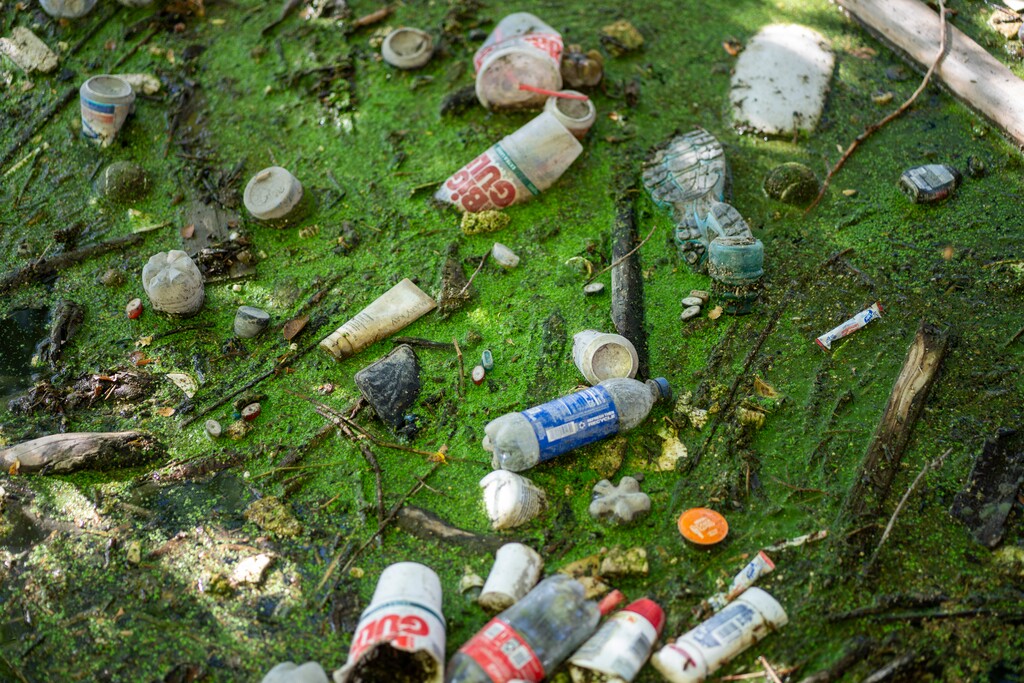 (Rick Egan | The Salt Lake Tribune)  Trash is stuck on the surface on a portion of the Jordan River, along the Jordan River Trail, on Thursday, Sept. 26, 2024.
