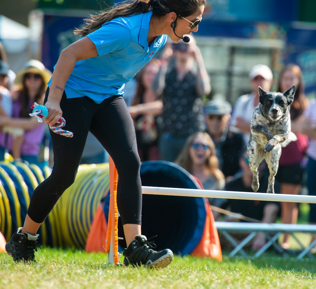 (Rick Egan  |  The Salt Lake Tribune)    Dee encourages Sushi the dog, during the Extreme Dog Show, at the Utah State Fair Monday, Sept. 9, 2019.