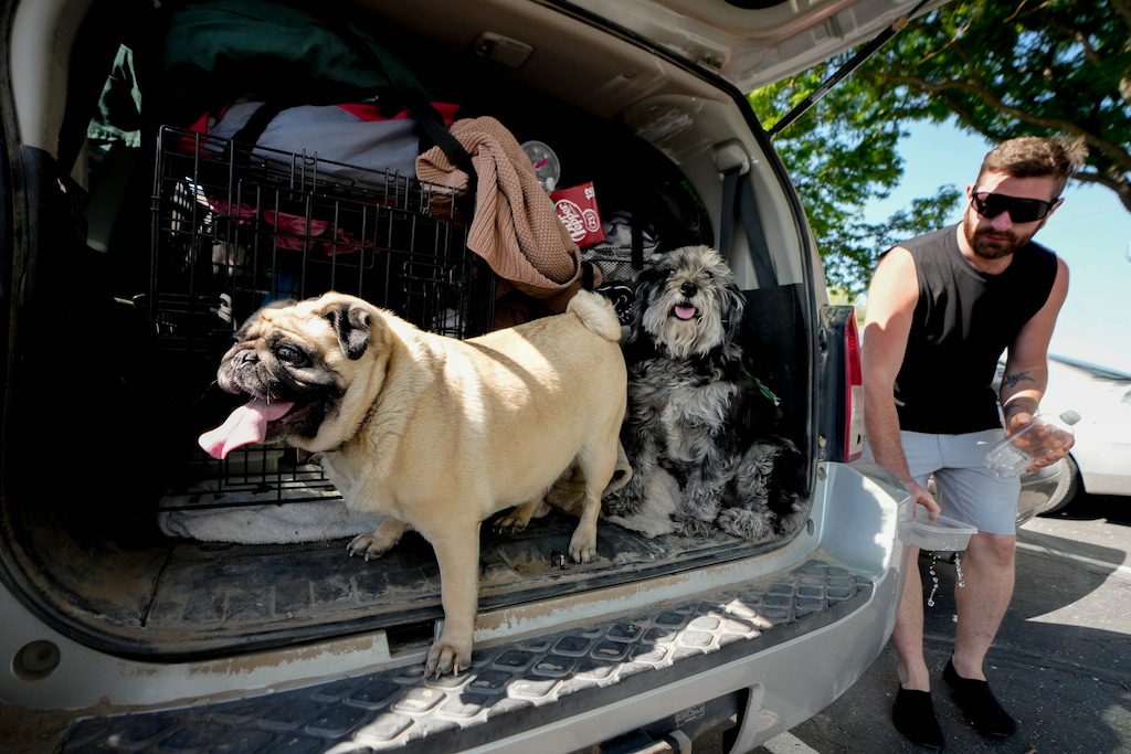(Francisco Kjolseth | The Salt Lake Tribune) Gary Skinner checks on his dogs Phoebe and Momma as his family waits for updates on when they might be able to return home to Eureka on Monday, June 22, 2026, due to the Iron Fire. The family was anxiously awaiting updates as they sheltered in the nearby town of Elberta.