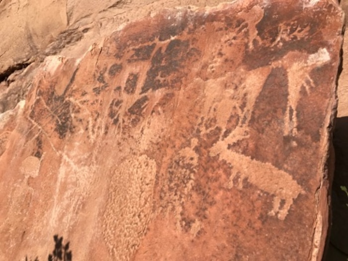 Petroglyphs sit on a rock wall on Sept. 10, 2017, alone Jones Hole Trail at Dinosaur National Monument. Photo by Nate Carlisle/The Salt Lake Tribune
